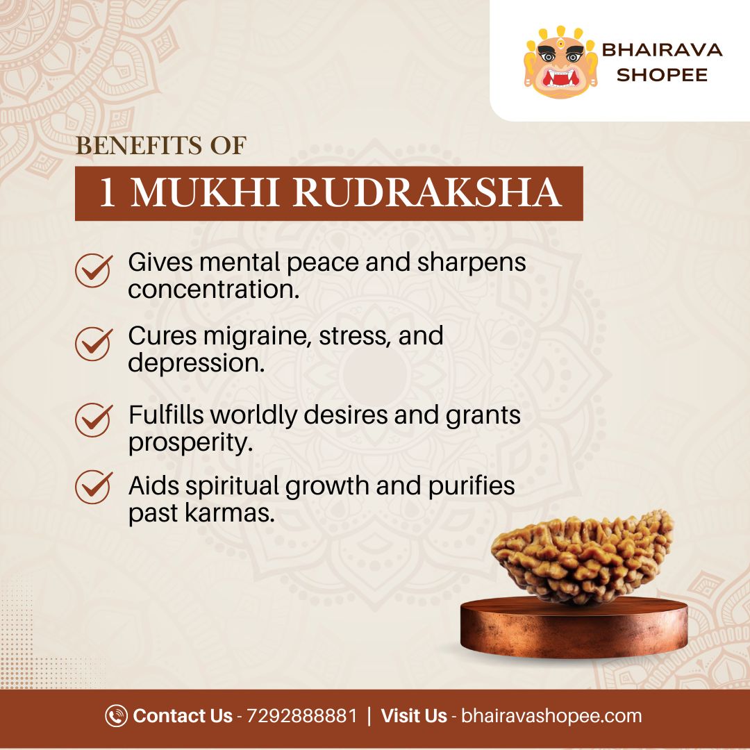 1 Mukhi Siddh Rudraksha | Rare Shiva Rudraksha for Enlightenment, Focus & Liberation